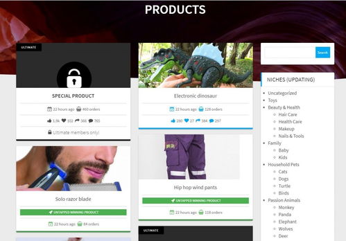 揭秘电商利基市场挖掘术 两步精准打造你的2019年度爆款