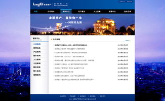 龙湖地产网站交互设计的数字化营销创新路径